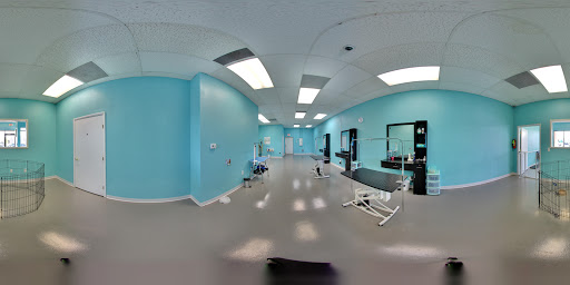 Classy Canines Spa and Salon - Image 1