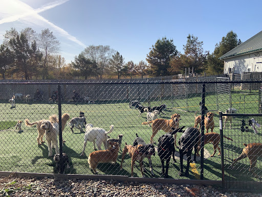 Raccoon River Kennels - Image 1