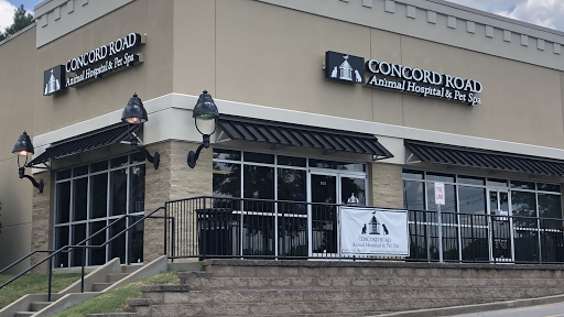 Concord Road Animal Hospital & Pet Spa | Brentwood & Nolensville - Image 1