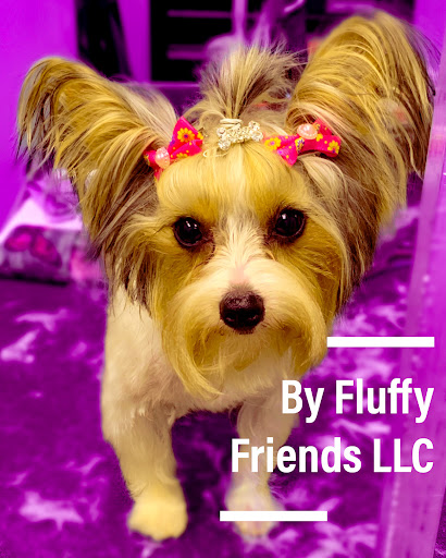 Fluffy Friends llc - Image 1