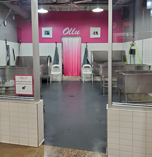 Ollu Self Serve Dogwash & Grooming Salon - Image 1