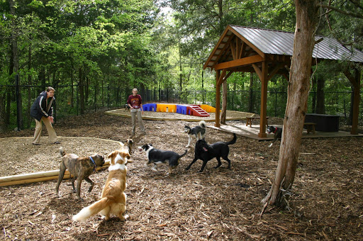 Safari Pet Resort - Image 1