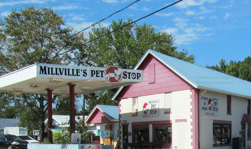 Millville's Pet Stop - Image 1