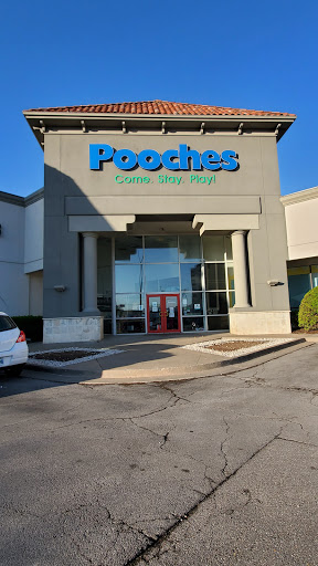 Pooches - Image 1