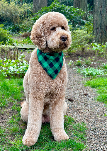 The Groom Shop PDX - Image 1