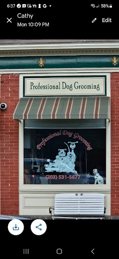 Professional Dog Grooming - Image 1