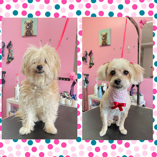 Fridy’s Pet Grooming - Image 1