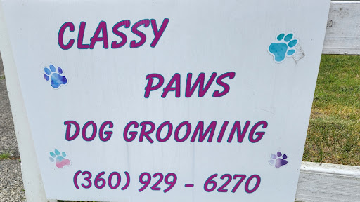 Classy Paws Dog Grooming - Image 1