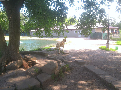 Brentwood Animal Campus Doggie Dorms - Image 1