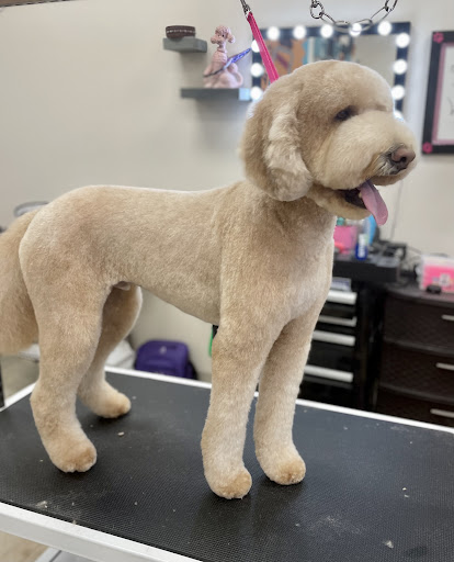 So Fetch Luxury Dog Grooming - Image 1