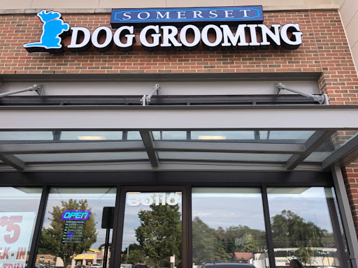 Somerset Dog Grooming - Image 1