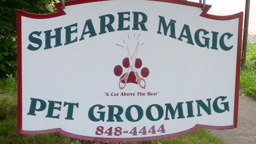 Shearer Magic Pet Grooming - Image 1