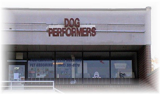 Dog Performers - Image 1