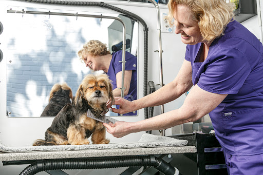 Silky Paws Mobile Grooming - Image 1