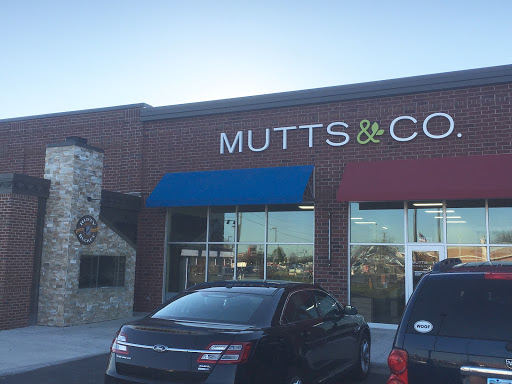 Mutts & Co. - Image 1