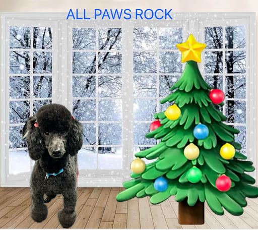 All Paws Rock, LLC - Image 1