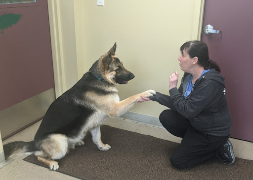 VCA Willow Creek Pet Center - Image 1