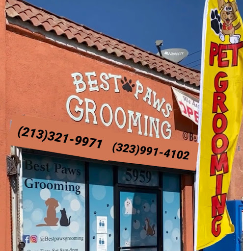 Best Paws Grooming - Image 1