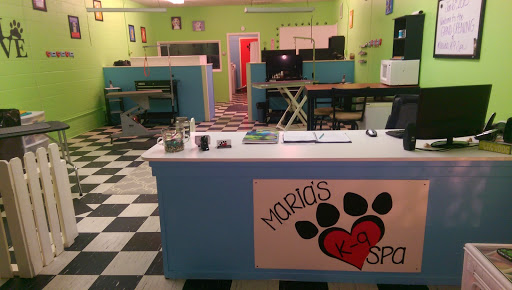 Maria's K-9 Spa - Image 1