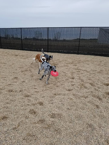 TailWaggers Doggy Daycare - Image 1