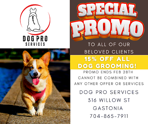 Dog Pro Services - Image 1