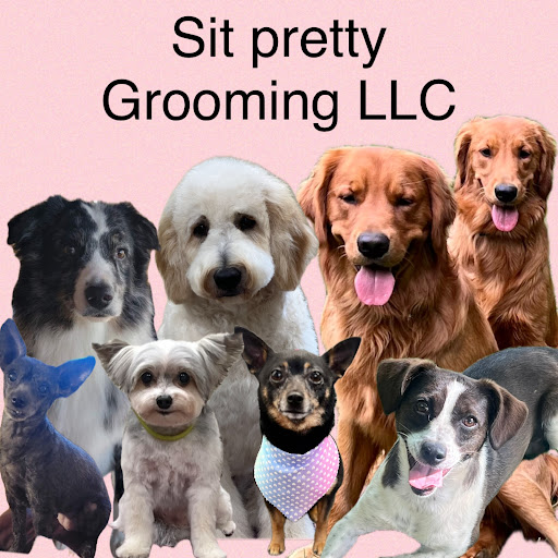 Sit Pretty Grooming LLC - Image 1