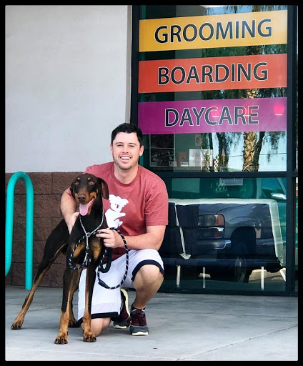 Johnny's Doghouse Pet Grooming & Boarding - Image 1