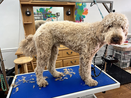 The Doodle Groomer - Image 1