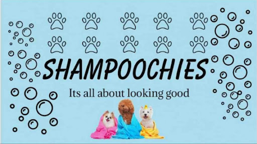 Shampoochies - Image 1