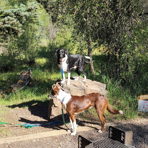 Woodmen Kennels - Image 1