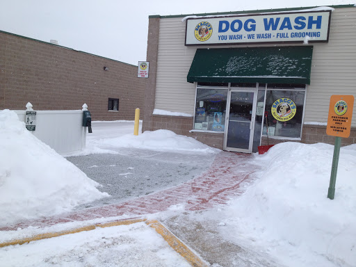 Shaggy's Dog Wash & Grooming - Image 1