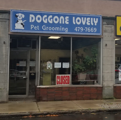 Doggone Lovely II - Image 1