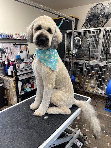 Oodles of Doodles: All Breed Grooming - Image 1