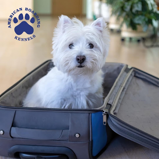 American Boarding Kennel - Image 1