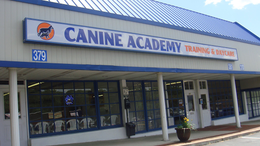 Canine Academy, LLC - Image 1