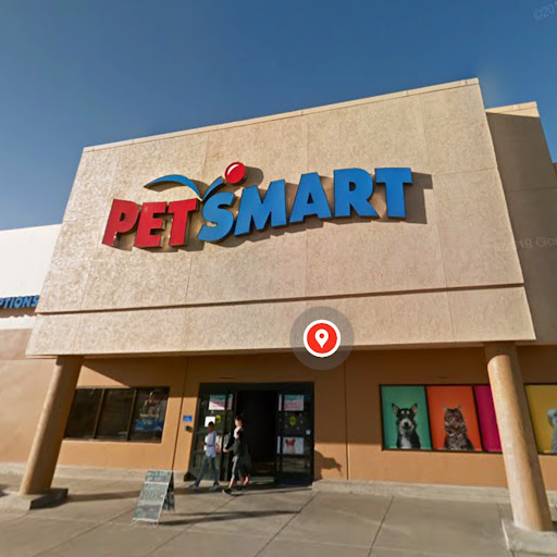 PetSmart Grooming - Image 1