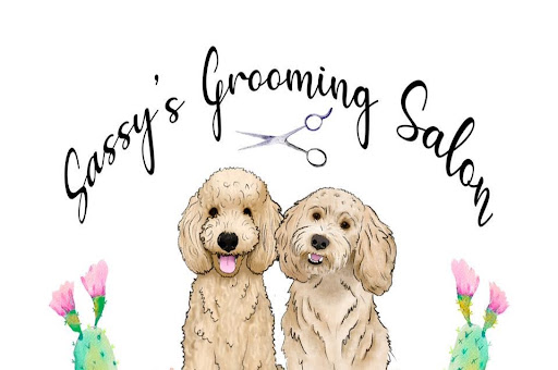 Sassy's Grooming Salon - Image 1