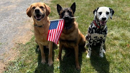 Sublime K9 Training & Boarding, LLC - Image 1