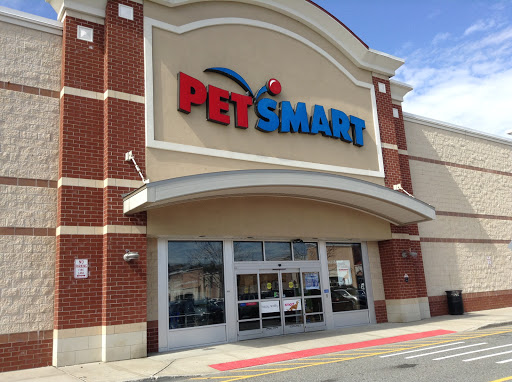 PetSmart Dog Training - Image 1