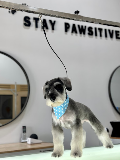 Fido’s Pet Grooming & Hotel - Image 1