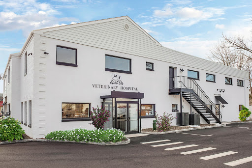 Spot On Veterinary Hospital & Hotel - Stamford - Image 1