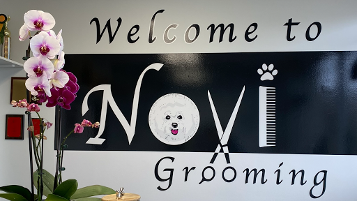 Novi Grooming - Image 1