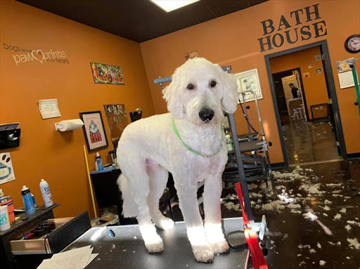 Heavenly Hound Salon - Image 1