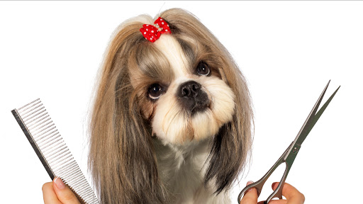 Pretty Paws Dog Grooming - Image 1