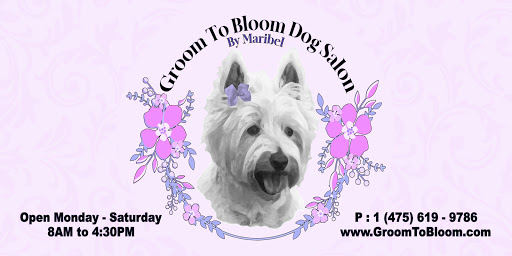 Groom To Bloom Dog Salon - Image 1