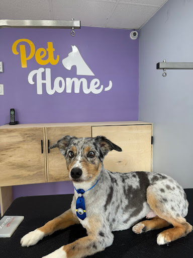 Pet House Inc - Image 1