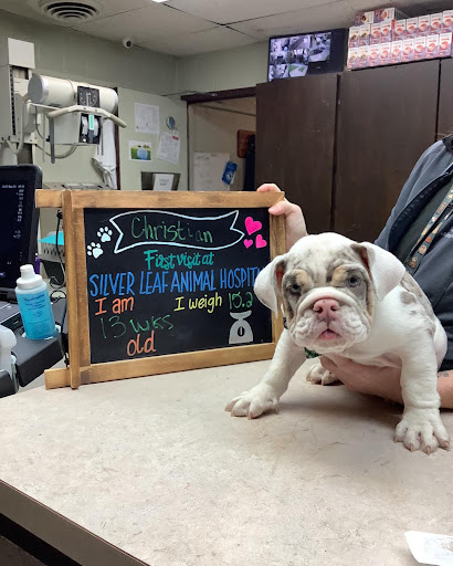 Silver Leaf Animal Hospital - Image 1