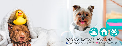 Fancy Paws by Mila Solis - Image 1