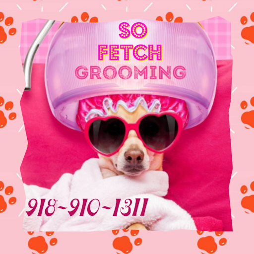 So Fetch Grooming - Image 1