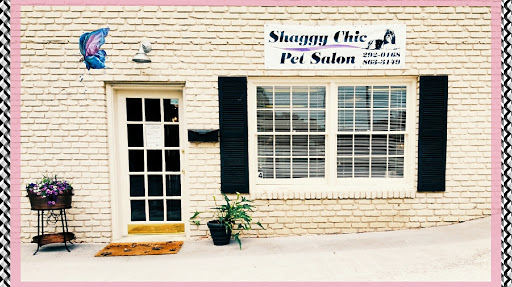 Shaggy Chic Pet Salon - Image 1